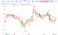 关心德美商业关系 伦敦银微幅承压-伦敦银-金投